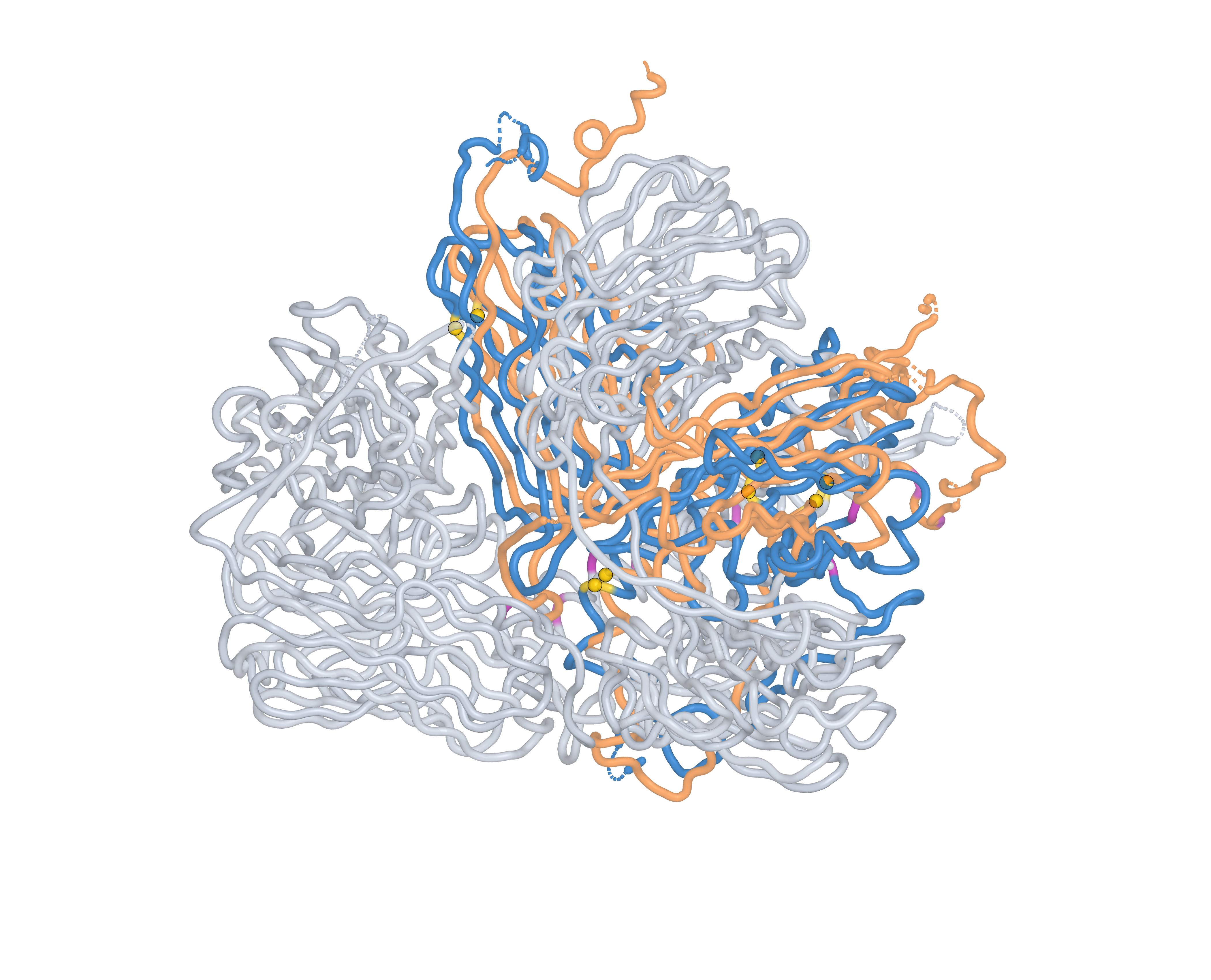 Protonation Topology
